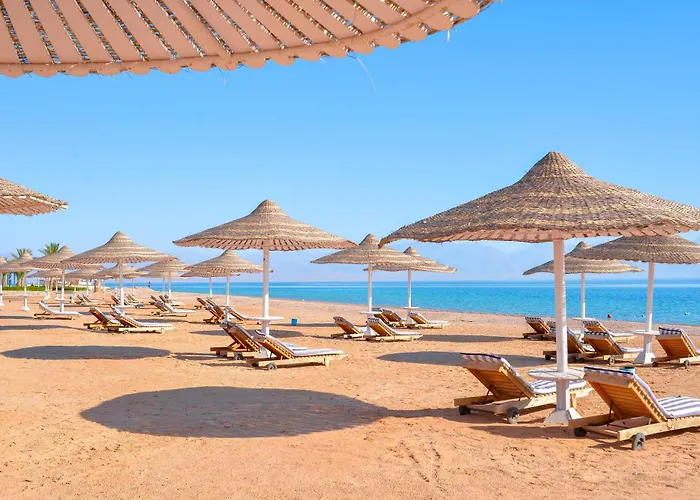 Time Coral Nuweiba`