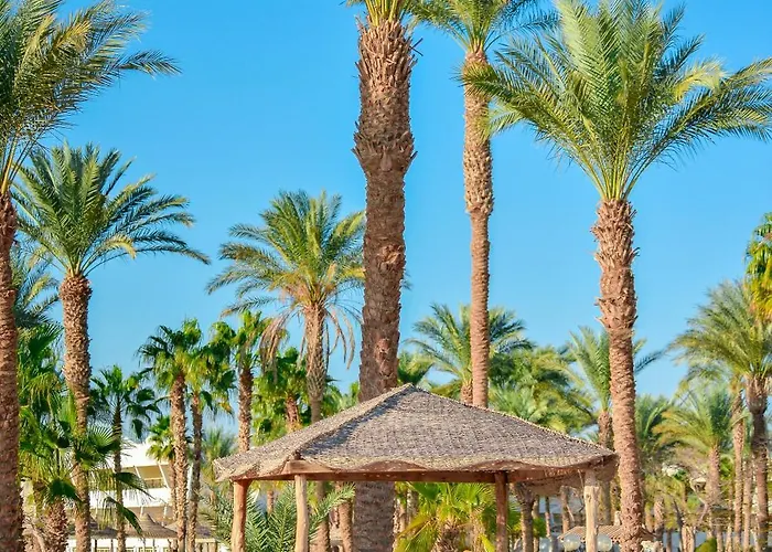 Time Coral Resort Nuweiba`