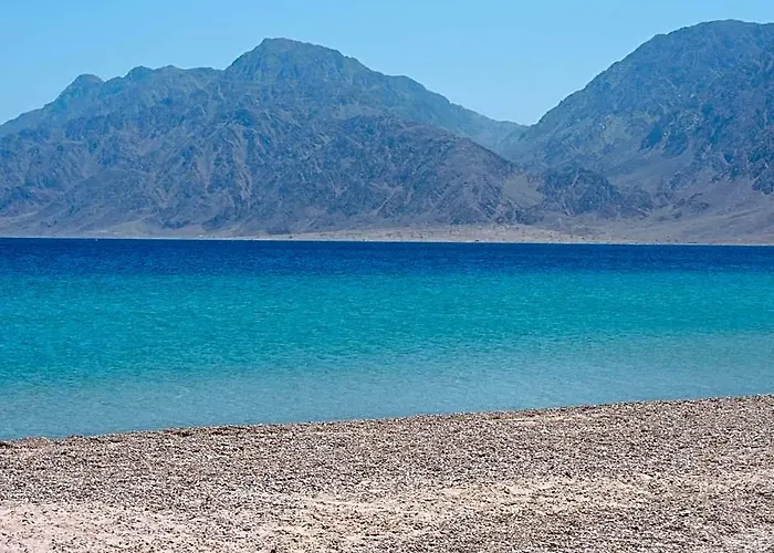 Time Coral Nuweiba`