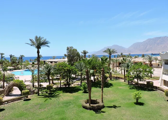 Time Coral Nuweiba`