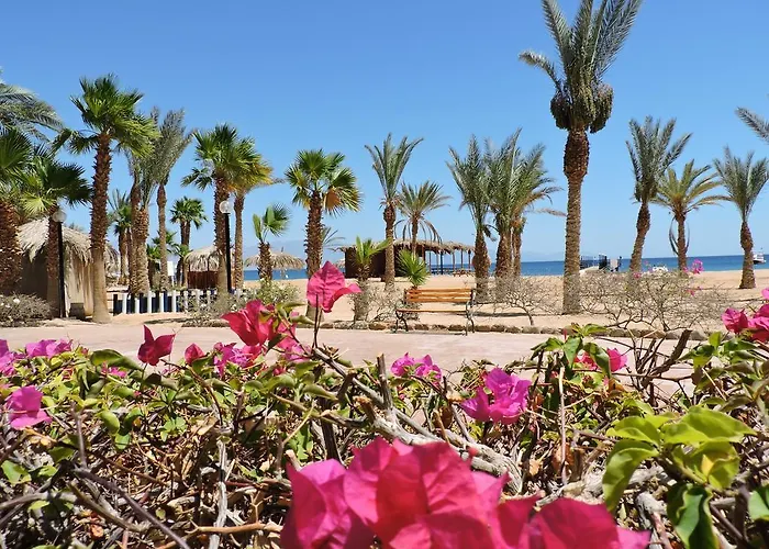 Resort Time Coral Nuweiba`