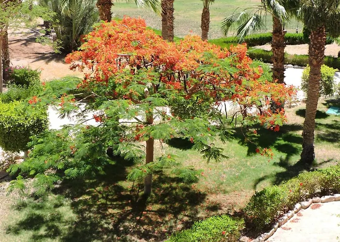 Resort Time Coral Nuweiba`
